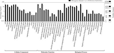 Host–Symbiont Interactions in Deep-Sea Chemosymbiotic Vesicomyid Clams: Insights From Transcriptome Sequencing